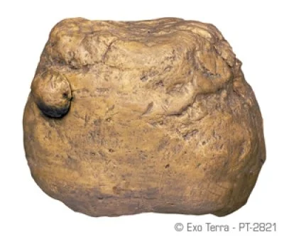 Terraarion ruokakuppi Exoterra Feeding Rock - Image 2