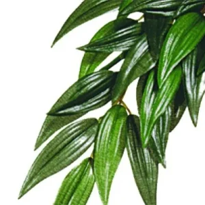Terraarion tekokasvi Exoterra Ruscus S