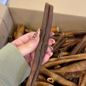 Tessu Hevosen kuivattu päänahka n. 15cm