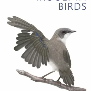 The Biology of Moult in Birds (Jenni&Winkler 2020)