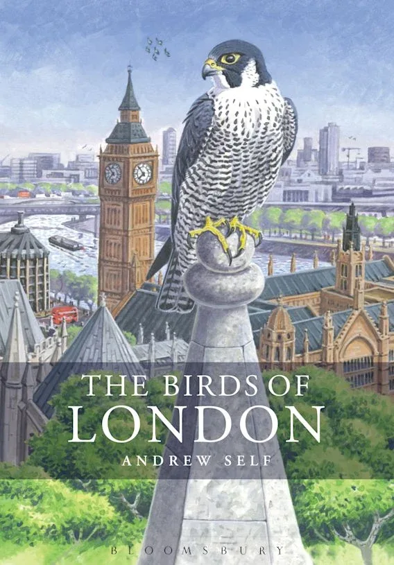 The Birds of London – Andrew Self 2014