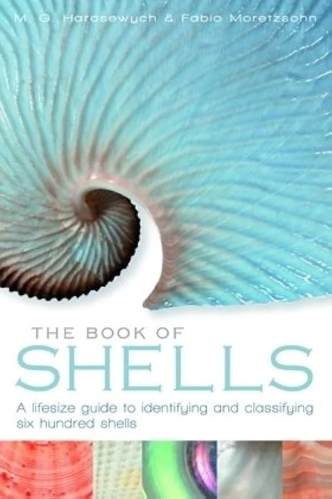 The Book of Shells. A lifesize guide to identifying and classifying six hundred shells – Harasewych,J. 2010 - Image 2