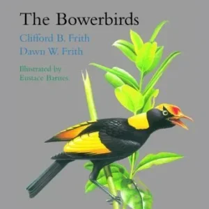 The Bowerbirds – Frith,C. 2004