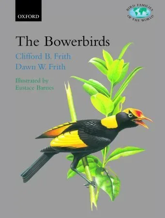 The Bowerbirds – Frith,C. 2004