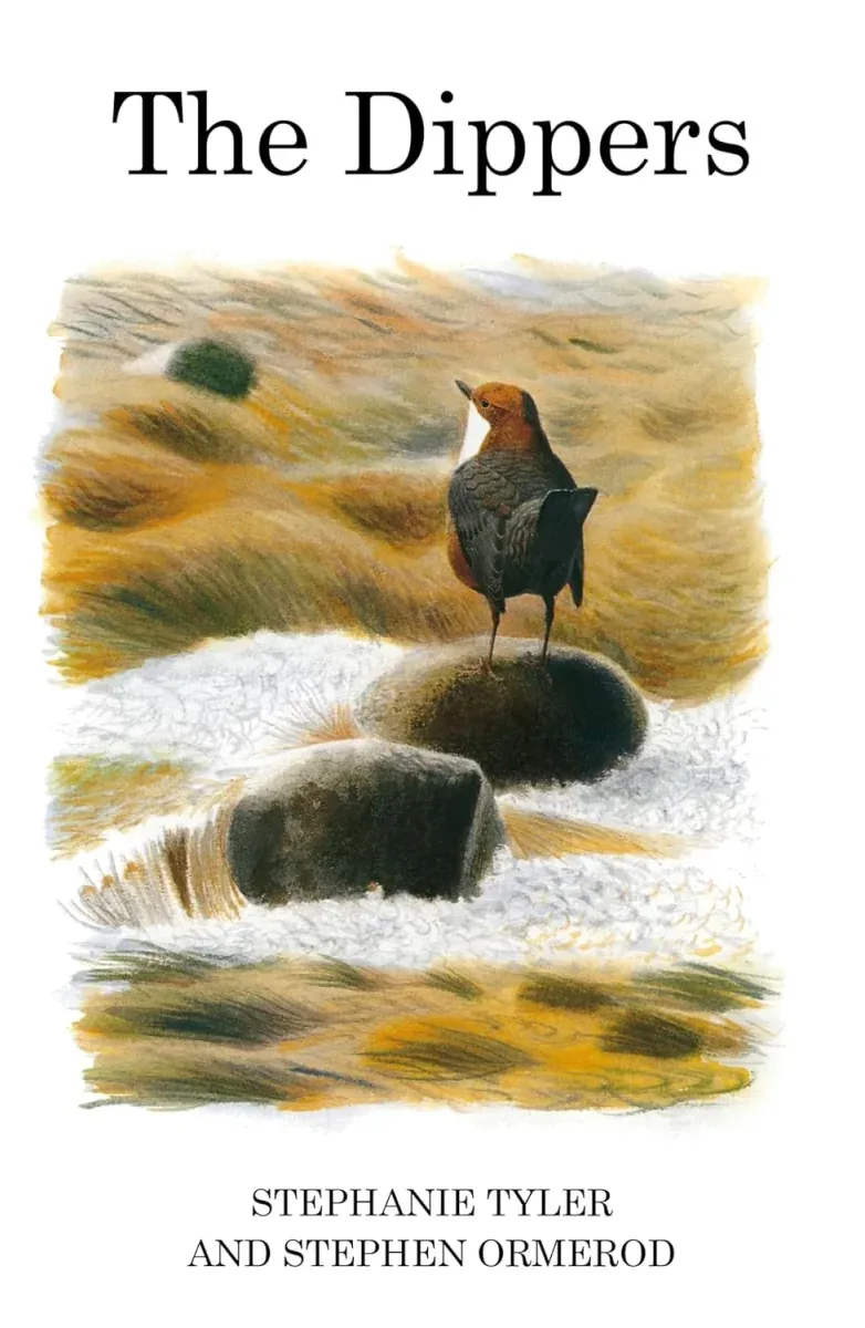 The Dippers – Tyler,S. 2002
