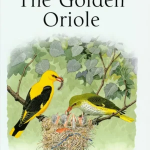 The Golden Oriole – Mason,P. ja Allsop,J. 2009