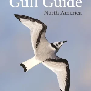 The Gull Guide: North America – Amar Ayyash 2024