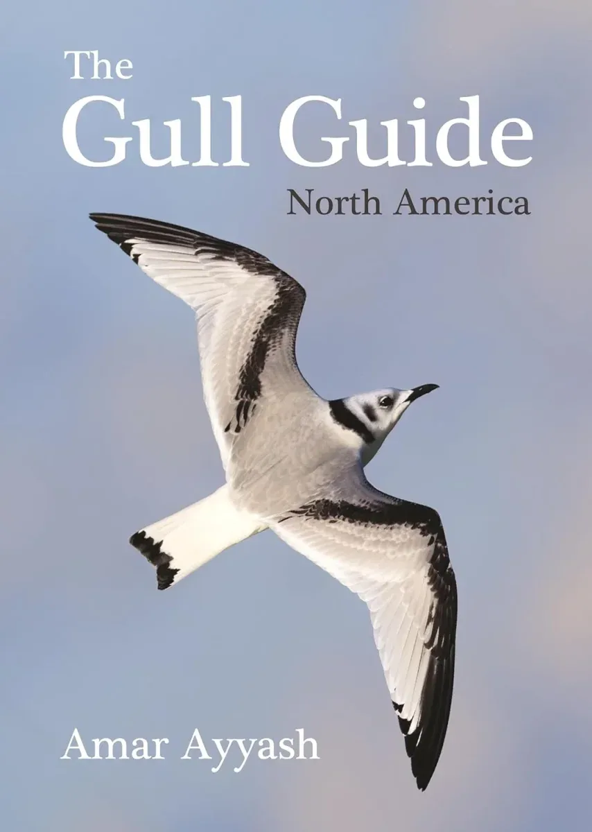 The Gull Guide: North America – Amar Ayyash 2024