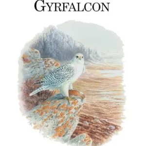 The Gyrfalcon – Potapov,E. 2005
