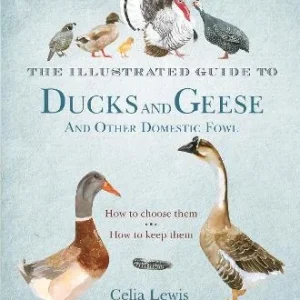 The Illustrated Guide to Ducks and Geese and Other Domestic Fowl – How to choose Thea, How to keep them – Lewis, C. 2012