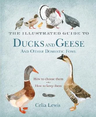 The Illustrated Guide to Ducks and Geese and Other Domestic Fowl – How to choose Thea, How to keep them – Lewis, C. 2012 - Image 2