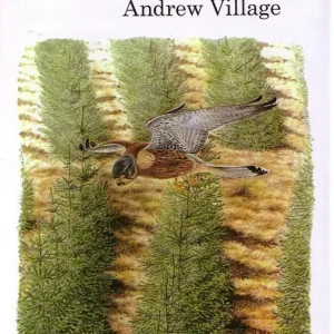 The Kestrel – Andrew Village 1990