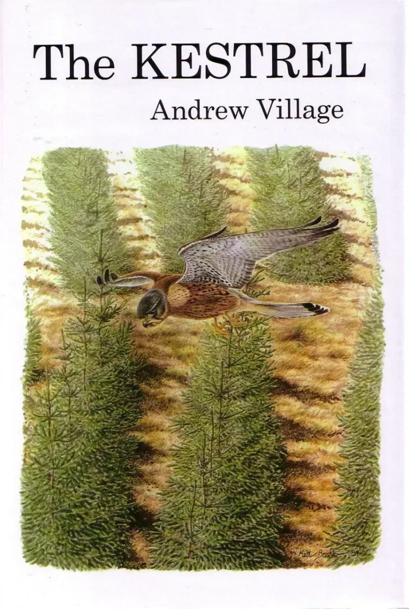 The Kestrel – Andrew Village 1990