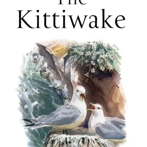 The Kittiwake (Coulson) 2011