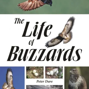 The Life of Buzzards – Peter Dare 2015
