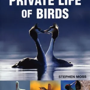 The Private Life of Birds (Moss) 2006
