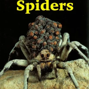 The Private Life of Spiders, Hillyard (2011)