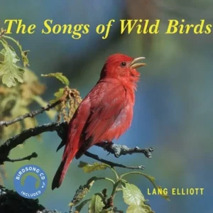 The Songs of Wild Birds, Elliott, L. 2006