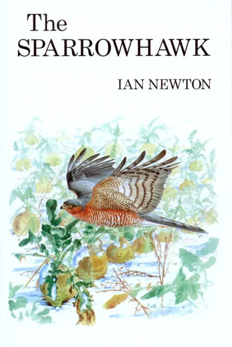 The Sparrowhawk – Newton,I. 1986