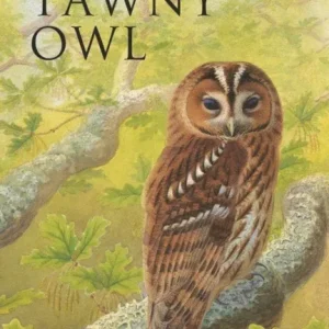 The Tawny Owl – Martin, Jeff 2022
