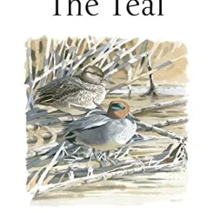 The Teal -Guillemain, M. 2014
