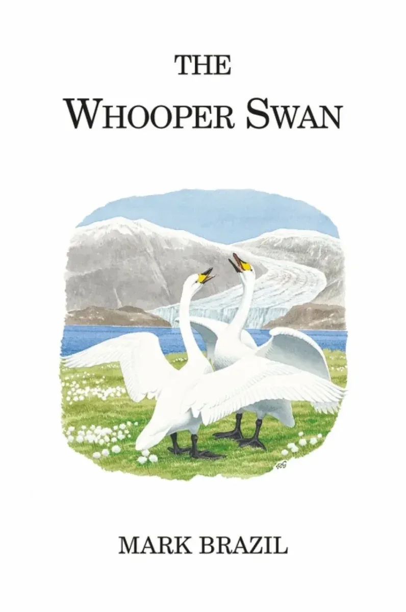 The Whooper Swan – Brazil,M. 2020
