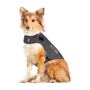 Thundershirt rauhoittava mantteli koiralle