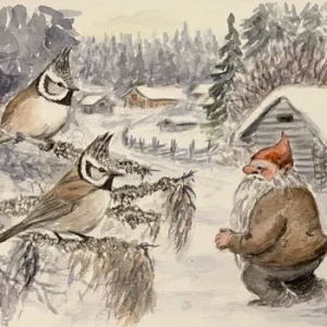 Töyhtötiaiset ja tonttu postikortti