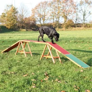 Trixie Dog Activity Agility -puomi P 456 x L 30 x K 64 cm