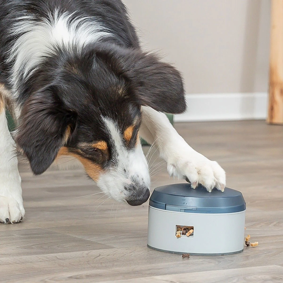 Trixie Dog Activity Buzzer
