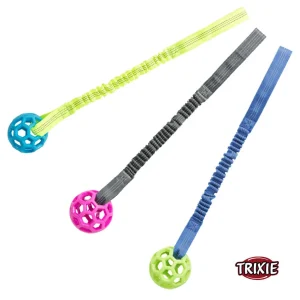Trixie reikäpallo joustolla