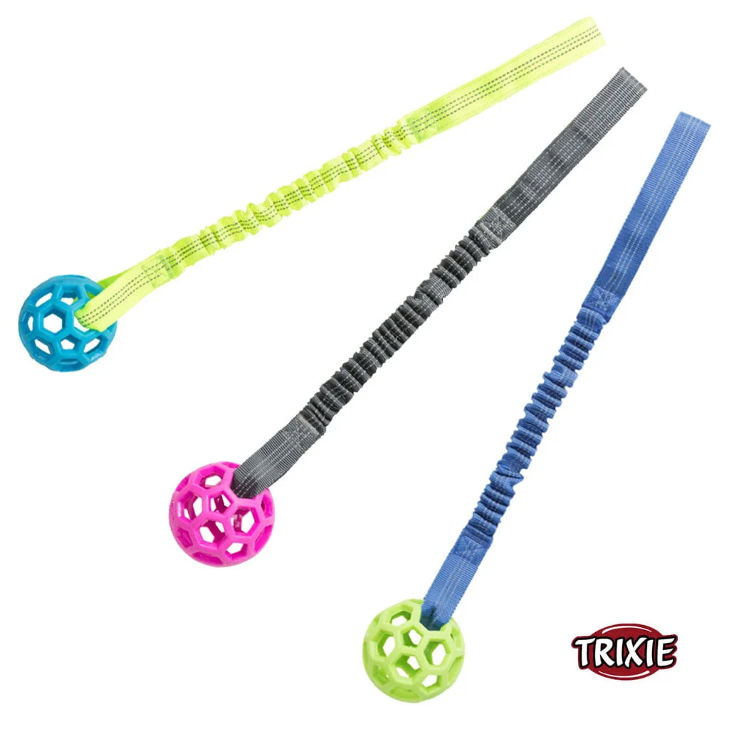 Trixie reikäpallo joustolla