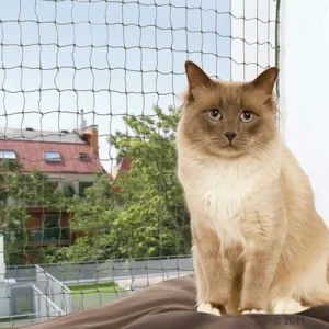 Trixie vahvistettu parvekeverkko, oliivinvihreä 2 x 1,5 m