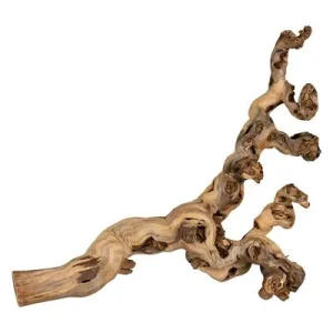 Trixie-viiniköynnös, hiekkapuhallettu 40 - 60 cm