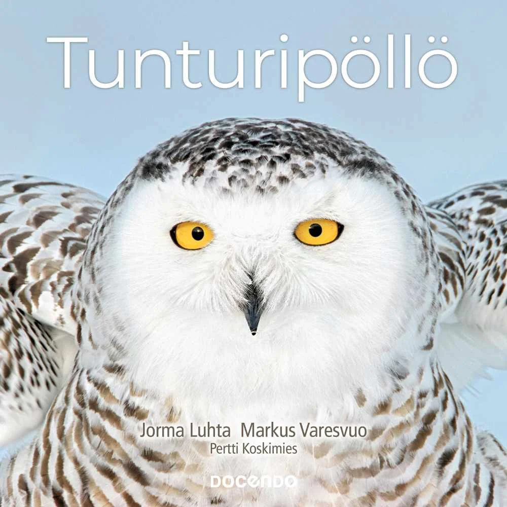 Tunturipöllö – Koskimies, P., Luhta, J., Varesvuo, M., 2022 - Image 2