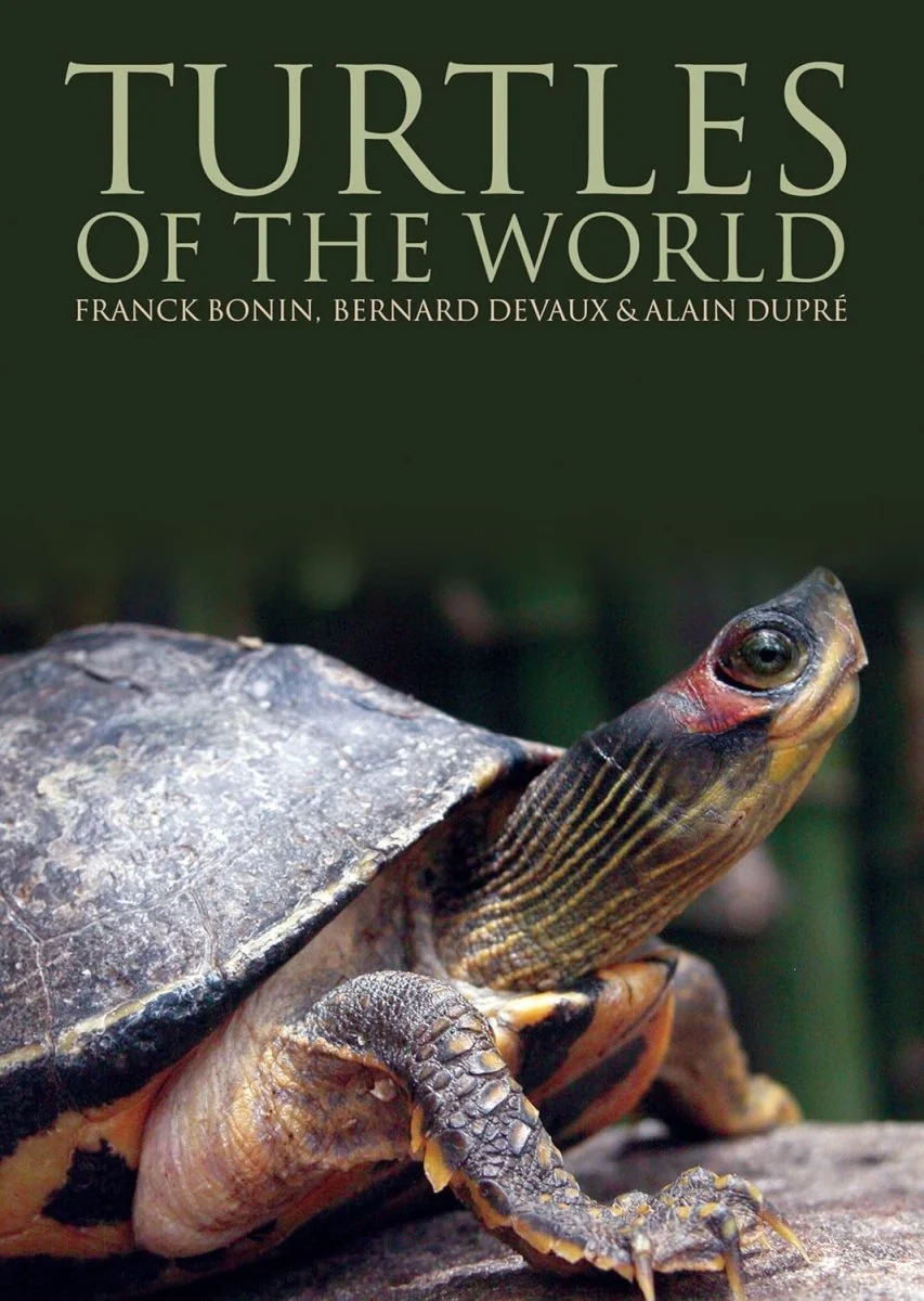 Turtles of the World – Bonin,F. 2007 - Image 2
