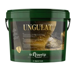Ungulat