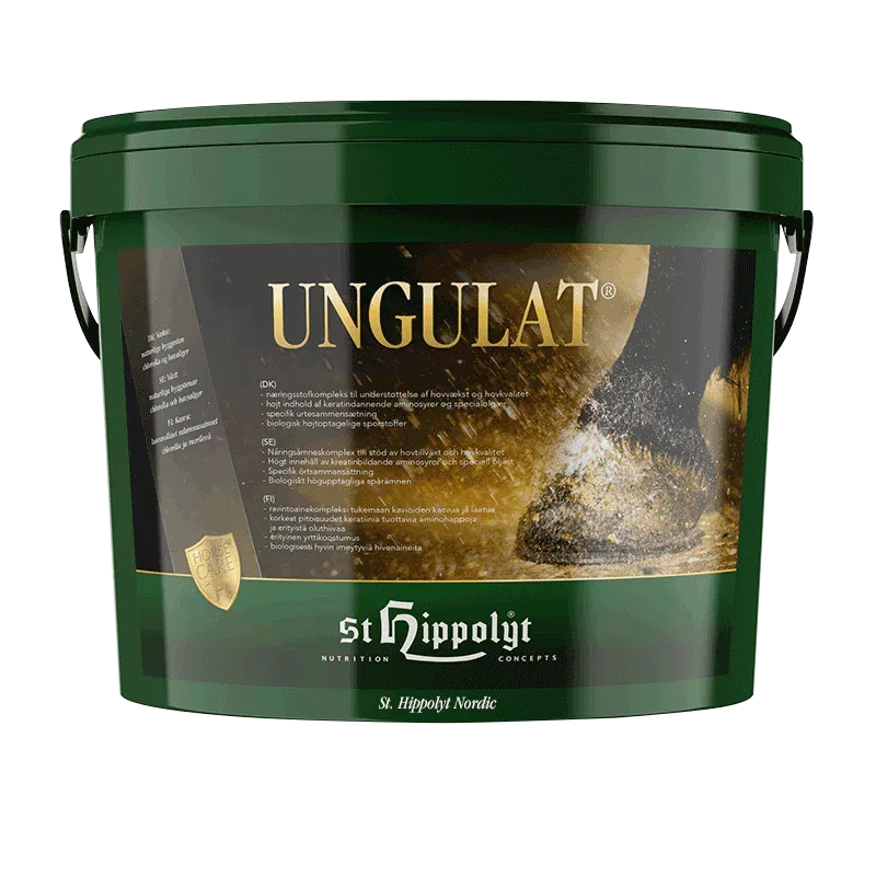 Ungulat