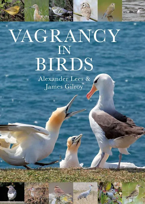 Vagrancy in Birds – Alexander Lees, James Gilroy 2021