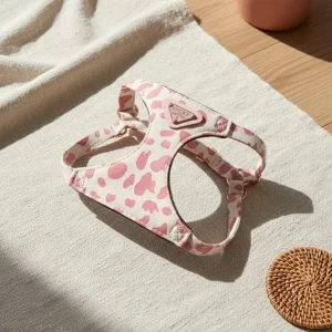 Valjaat koiralle, joko hihnalla tai ilman, kaksoiskoukulla