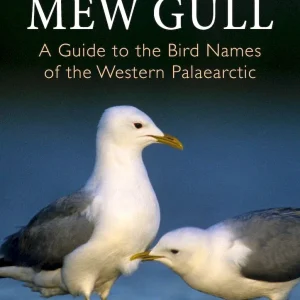 Vanishing Mew Gull – Reedman, R. 2024