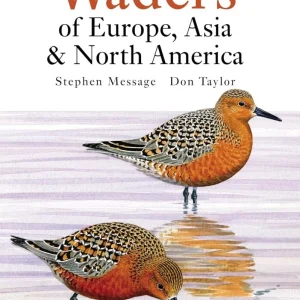 Waders of Europe, Asia and North America – Don W. Taylor 2005