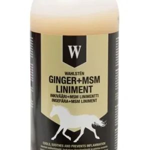 Wahlsten inkivääri + msm linimentti 1l