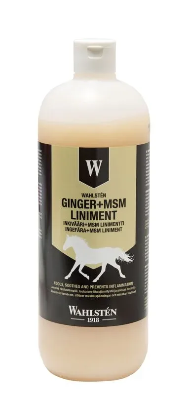 Wahlsten inkivääri + msm linimentti 1l