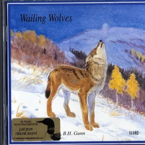 Wailing Wolves (mono) – Audio CD. Villien susien ulvontaa