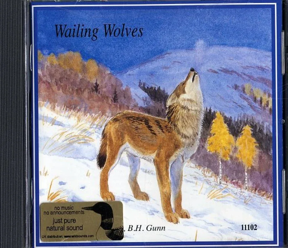 Wailing Wolves (mono) – Audio CD. Villien susien ulvontaa