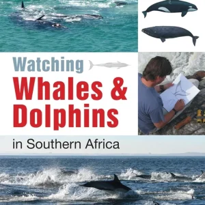 Watching Whales & Dolphins in Southern Africa – Ashton,N. 2012