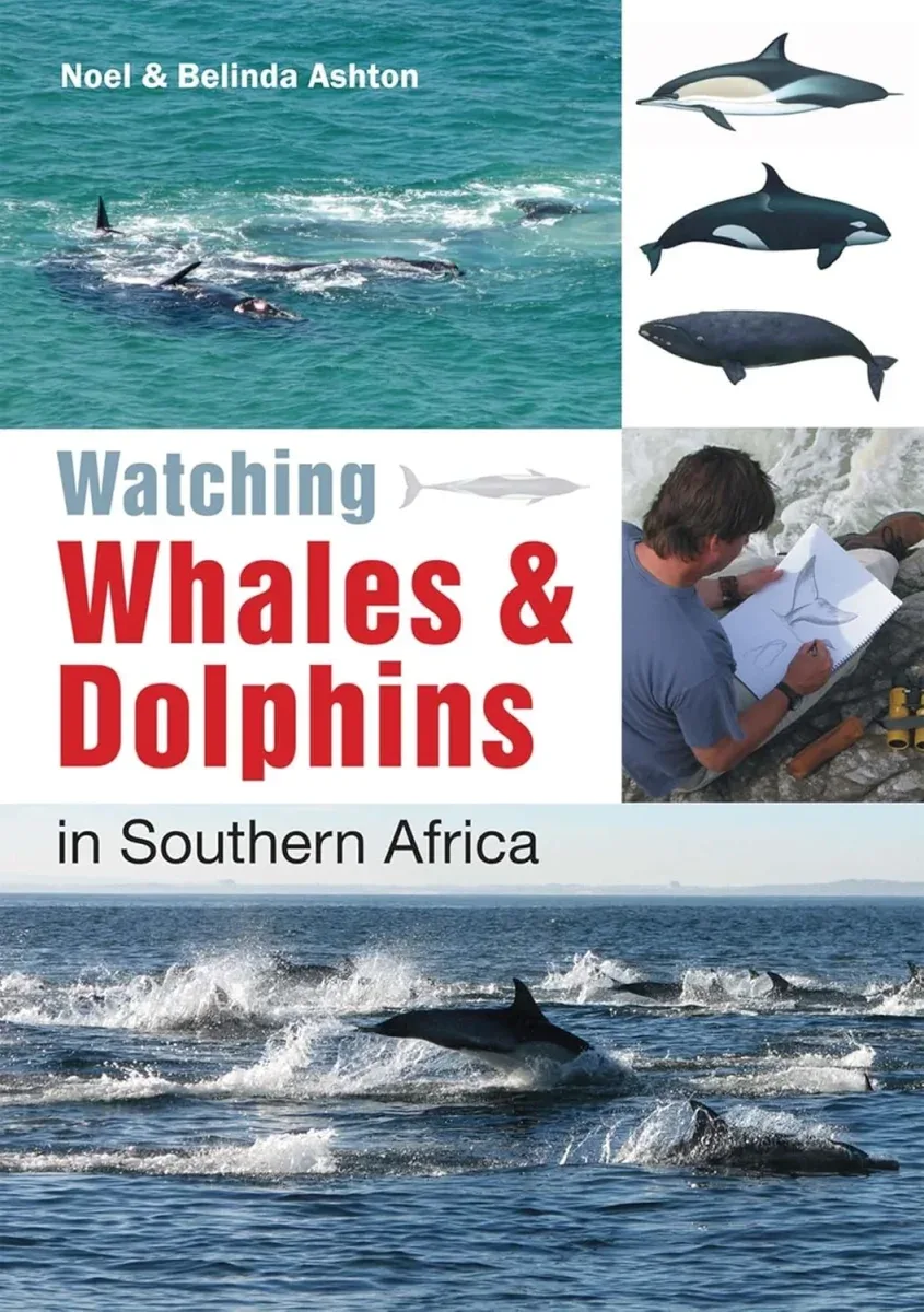 Watching Whales & Dolphins in Southern Africa – Ashton,N. 2012