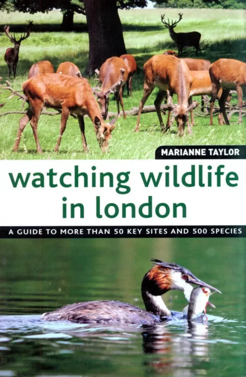 Watching wildlife in London – Taylor,M. 2010
