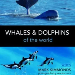 Whales & Dolphins of the World – Simmons,M. 2013